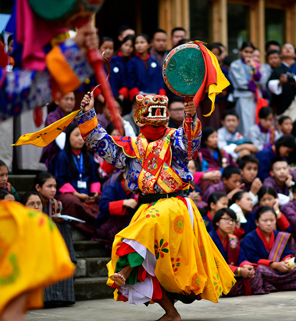 Festival Tours